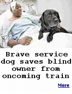 Orlando, a black Labrador retriever, bravely leapt on to the tracks at a Manhattan subway platform after his blind owner lost consciousness and tumbled in front of an oncoming train.